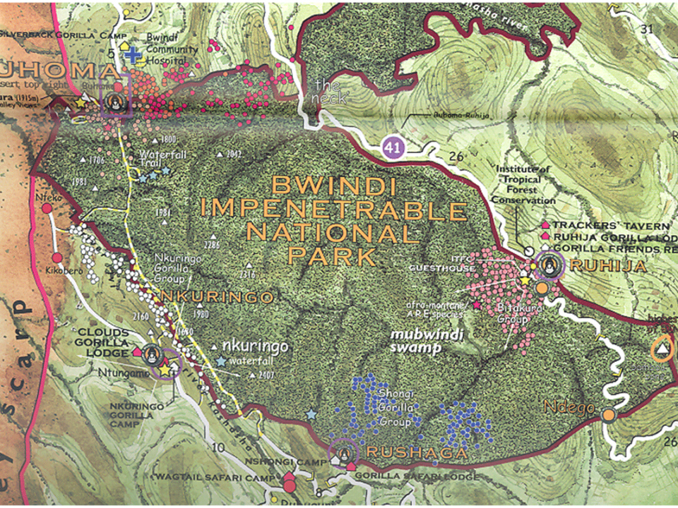 How to access bwindi impenetrable forest