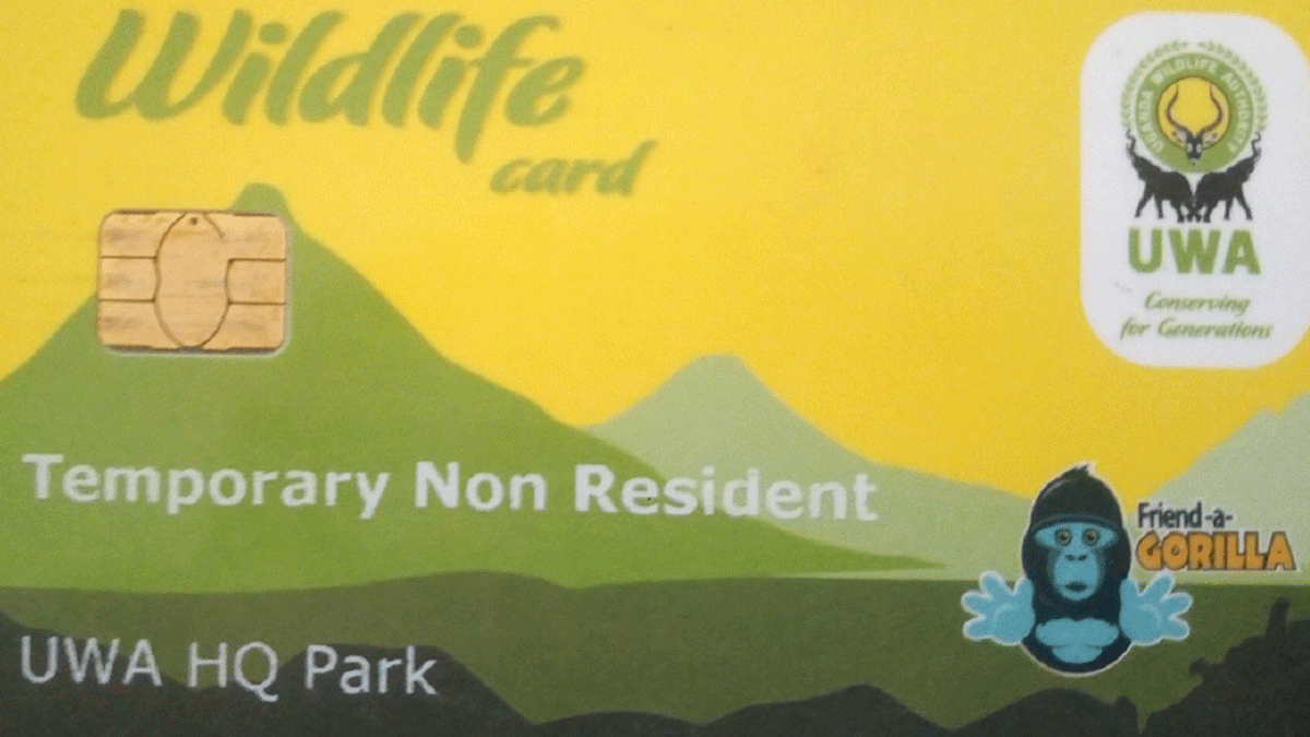 Allocation of Gorilla Tracking Permits