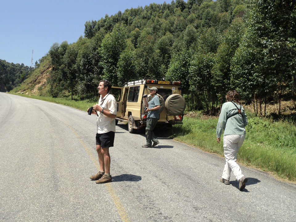Plan For a Ugandan Tour
