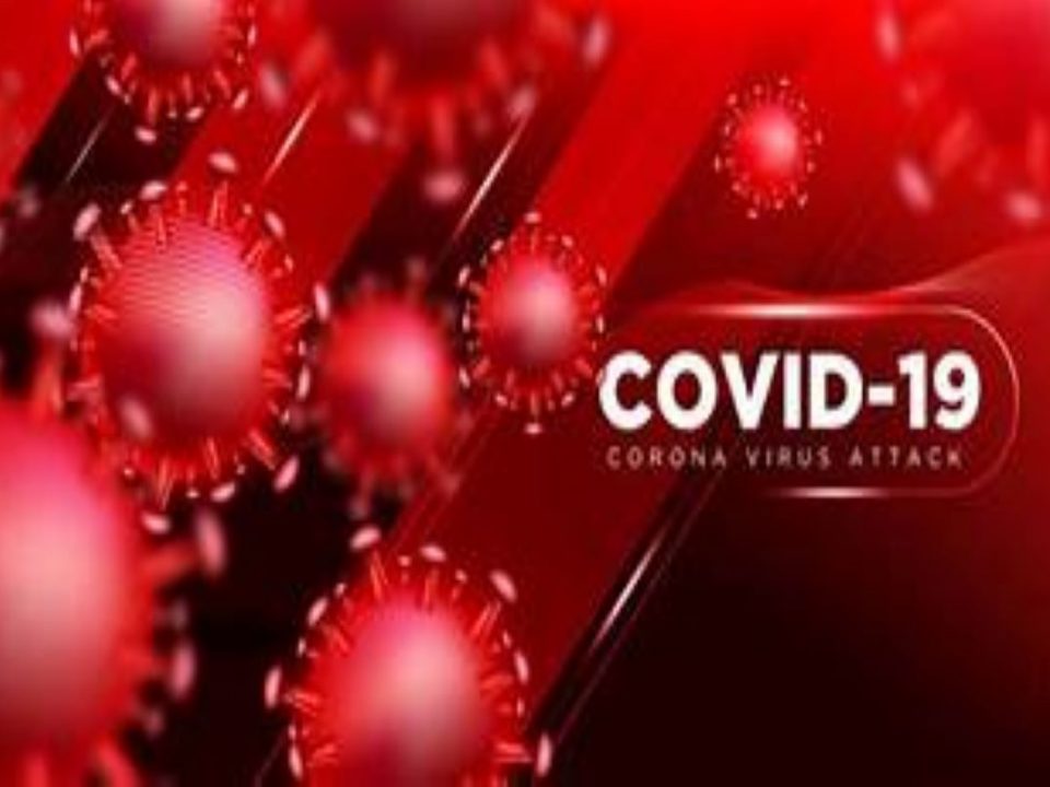 Covid-19 Pandemic in Uganda 6 covid-19 pandemic - Can travel - Uganda Gorilla Trekking After COVID-19