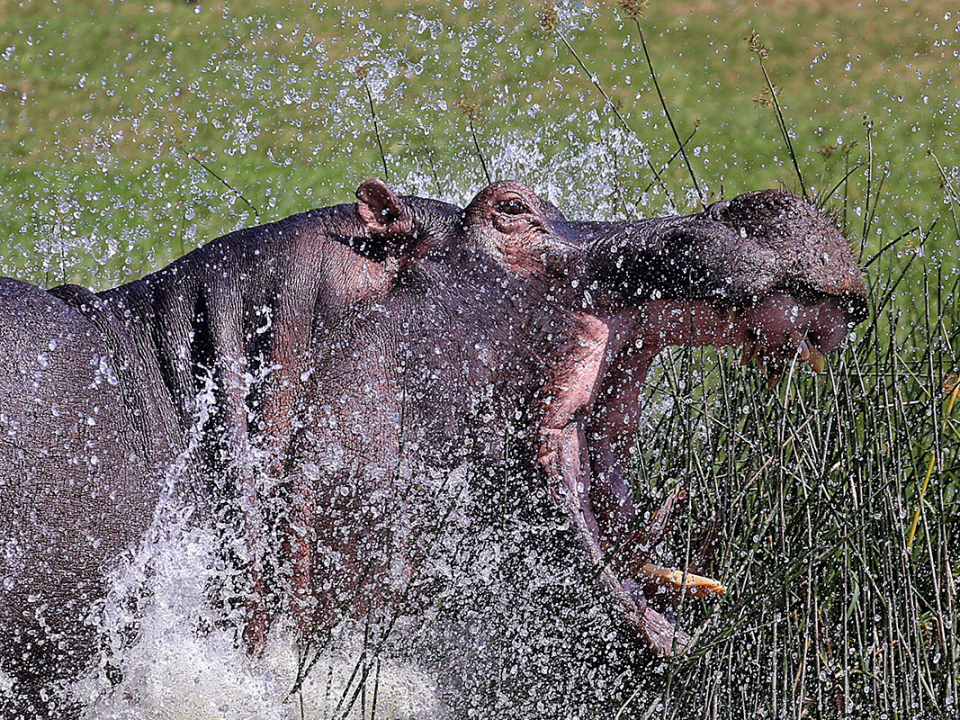3 Days Queen Elizabeth National Park Safari from Kigali
