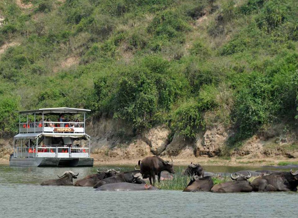 Kazinga Channel Boat Cruise