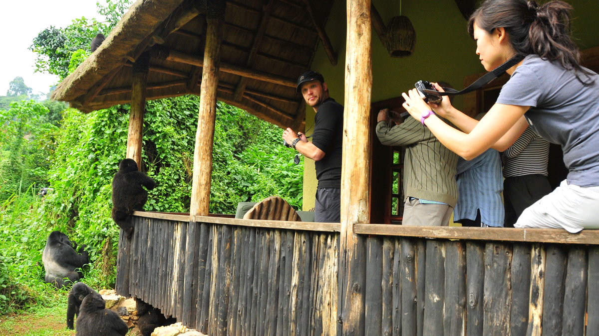 Best Lodges for Gorilla Trekking 2 Best Lodges for Gorilla Trekking — Best lodges in Uganda & Rwanda for Gorilla Trekking