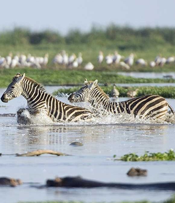 Explore the Northern Safari Circuit 2 Explore the Northern Safari Circuit