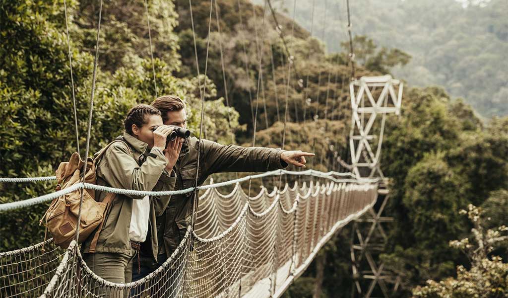Nyungwe National Park