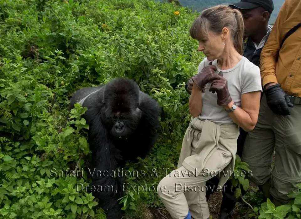 Large Group Tours to Volcanoes National Park 