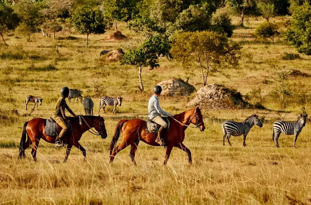 How to Book a Safari Holiday in Uganda 2 How to Book a Safari Holiday in Uganda