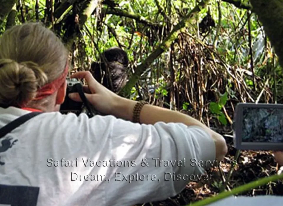 Luxury Gorilla Trekking