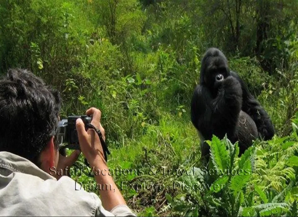 Altitude for Gorilla Trekking in Ruhija