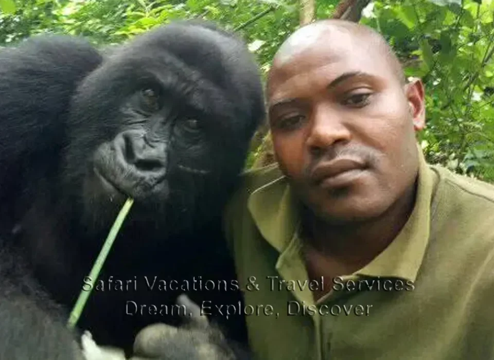 Gorilla Trekking in Africa