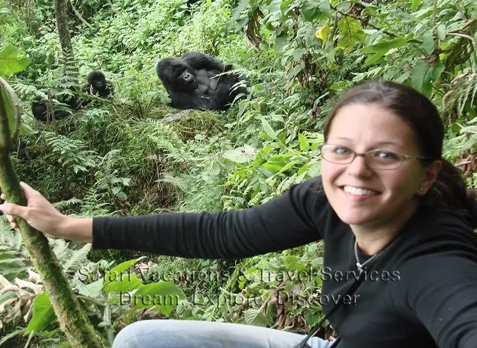 Altitude for Gorilla Trekking in Mgahinga