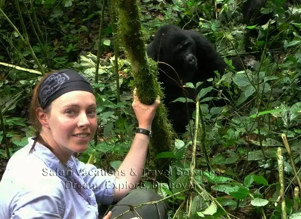 Cost of Gorilla Trekking in Buhoma