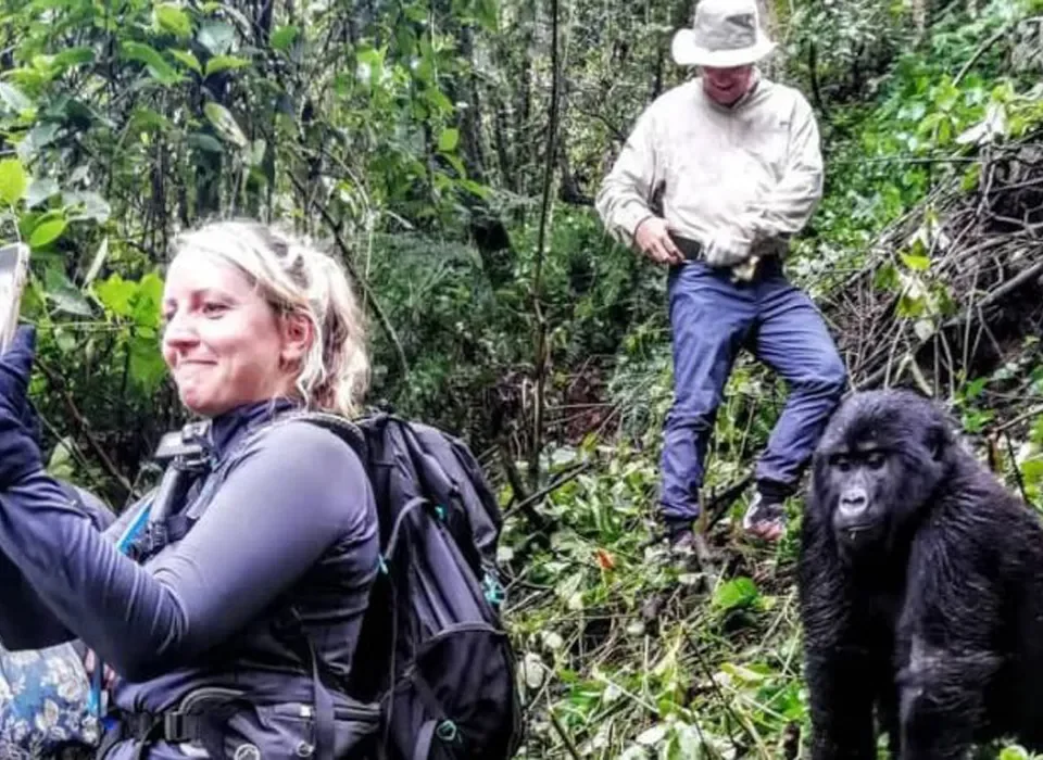 Gorilla Trekking from United States of America