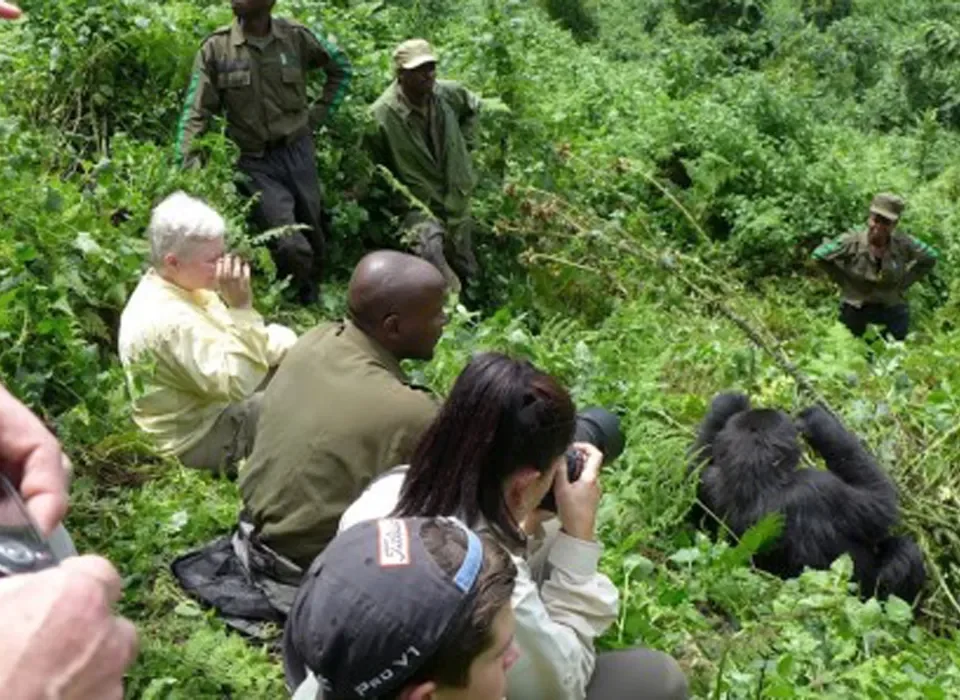 Gorilla Trekking Tours from Mbale