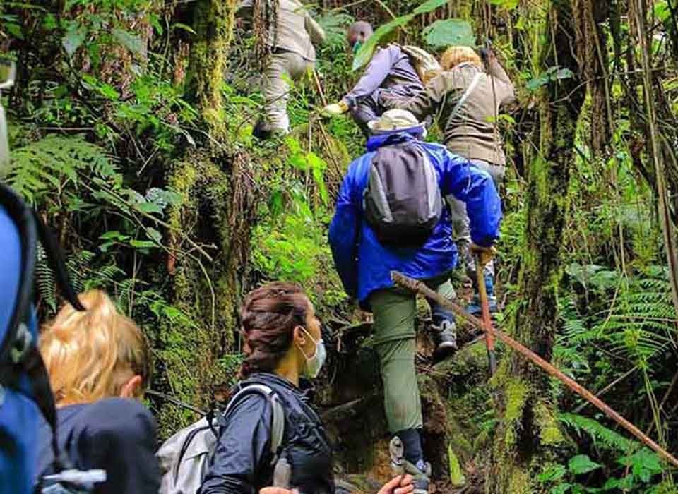 Large Group Tours in Uganda