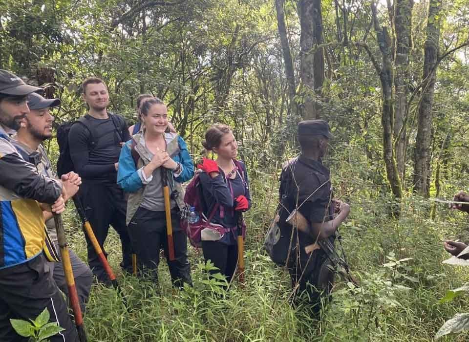 Small Group Tours