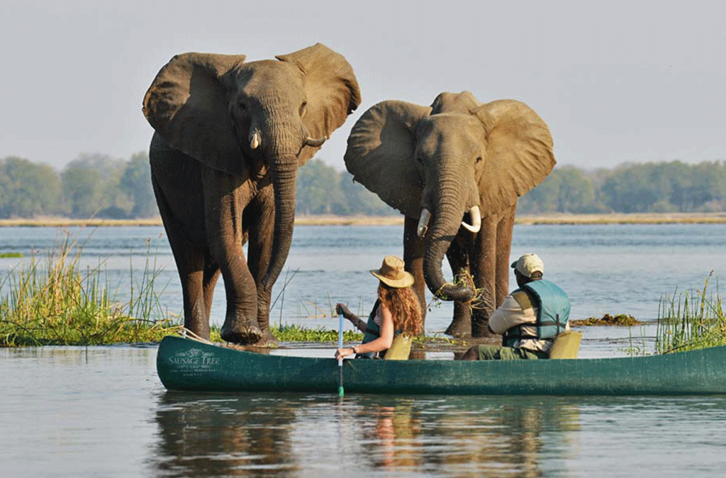 10-Best places to Visit in Africa 2 10-Best places to Visit in Africa