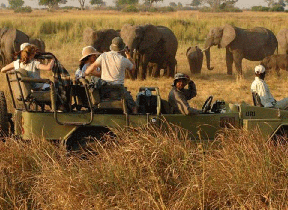 3 days safari in Kidepo Valley national Park
