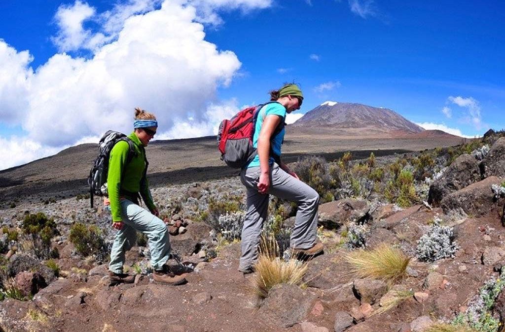 5-Day Hiking Mount Kilimanjaro Adventure via Marangu Route 2 5-Day Hiking Mount Kilimanjaro Adventure via Marangu Route