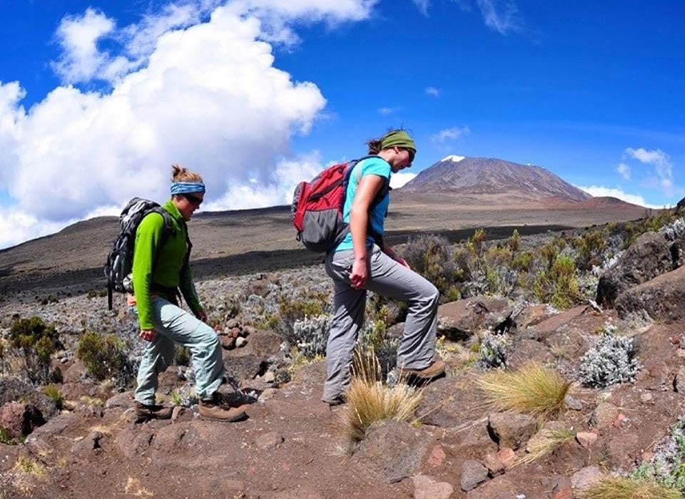 5-Day Hiking Mount Kilimanjaro Adventure via Marangu Route