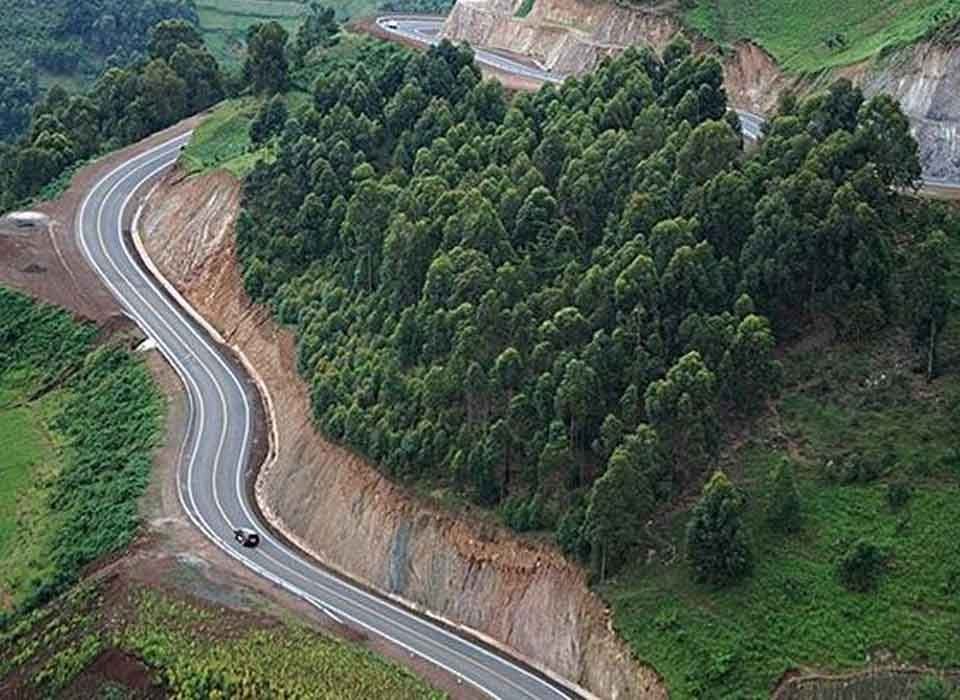 Journey to Bwindi National Park
