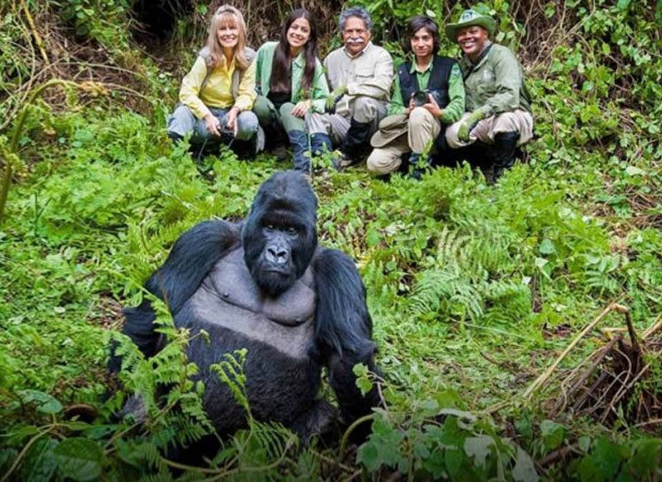 Journey to see gorillas in Uganda