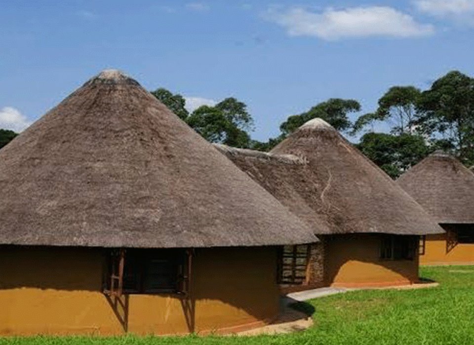 Mid-range Lodges in Kibale National Park