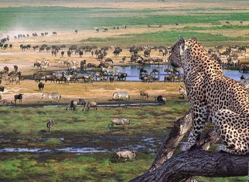 Serengeti National Park and Ngorongoro Crater