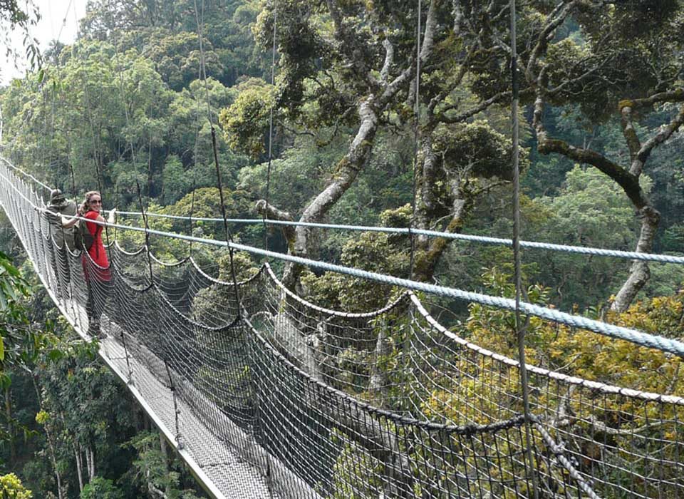 15-Day Uganda-Rwanda Adventure Safari