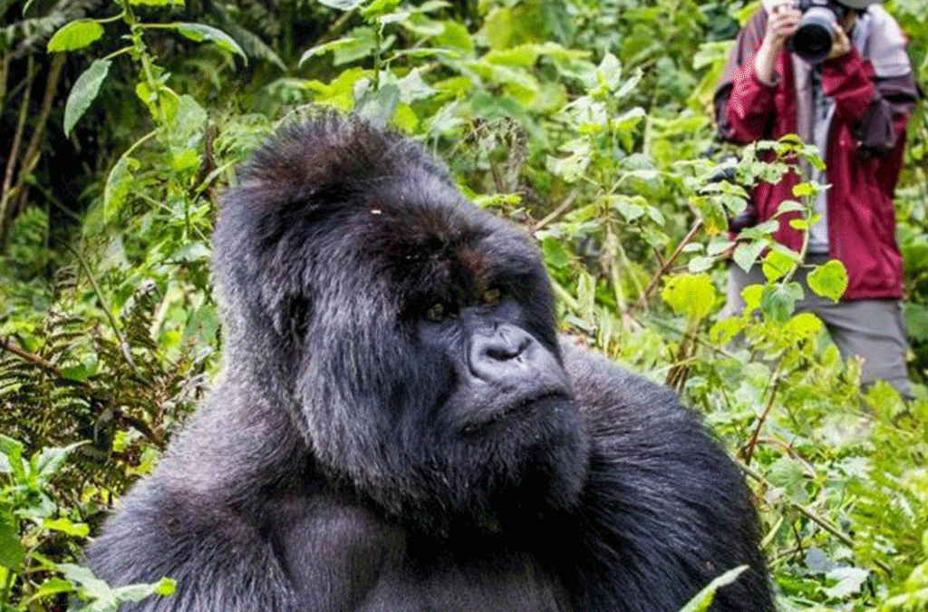 5 Days Uganda Adventure Safari 2 7 Days Uganda Adventure Safari