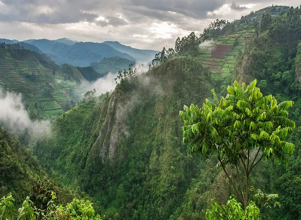 Uganda Climate and Weather