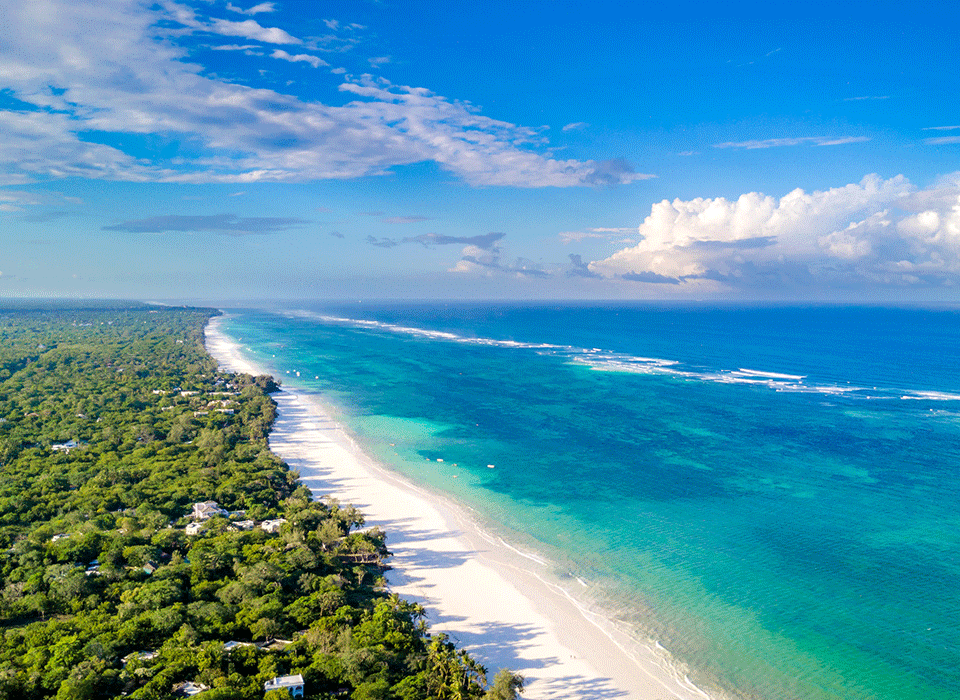 Kenya Wildlife and Diani Beach Safari