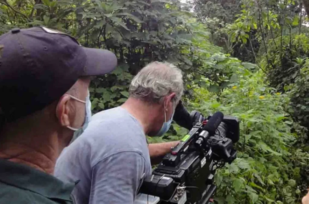 Filming in Loango National Park