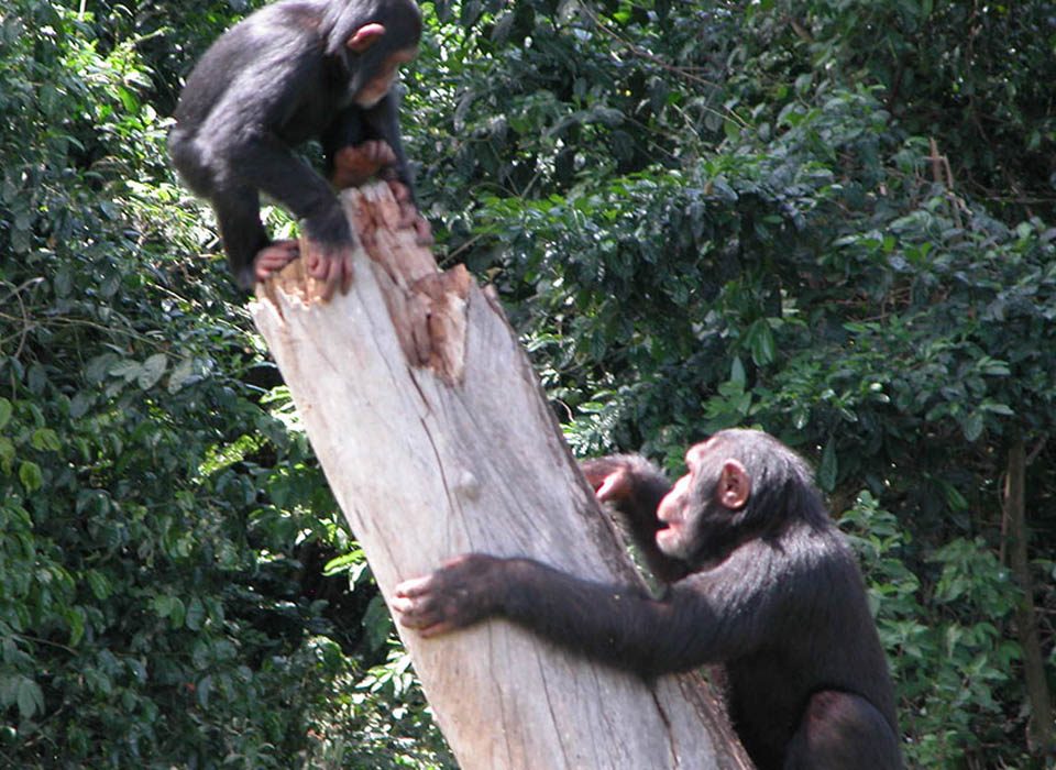 Hoima day trips and tours