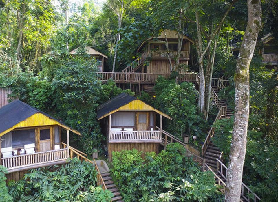 Mid-Range Safari Lodges in Ruhija