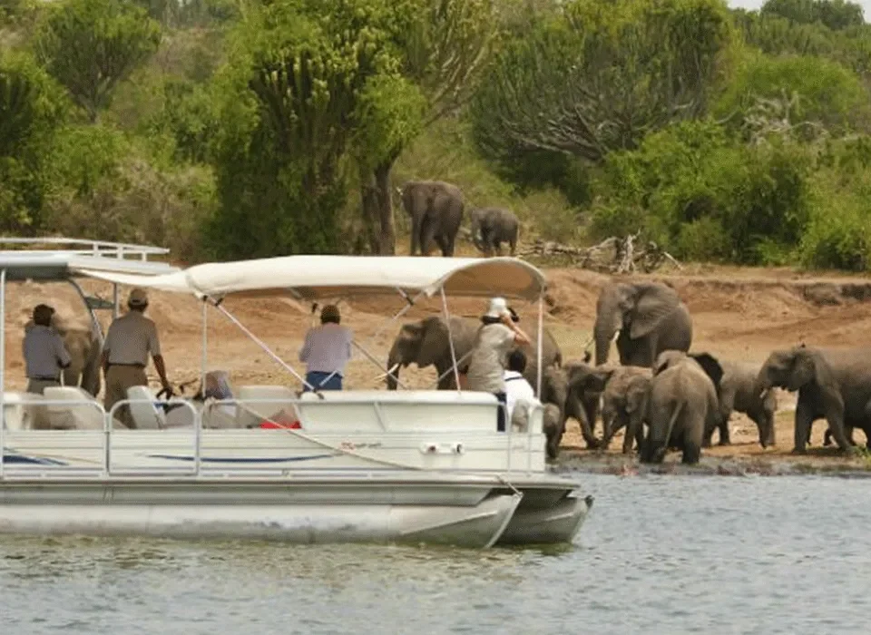 Safari Activities in Akagera National Park