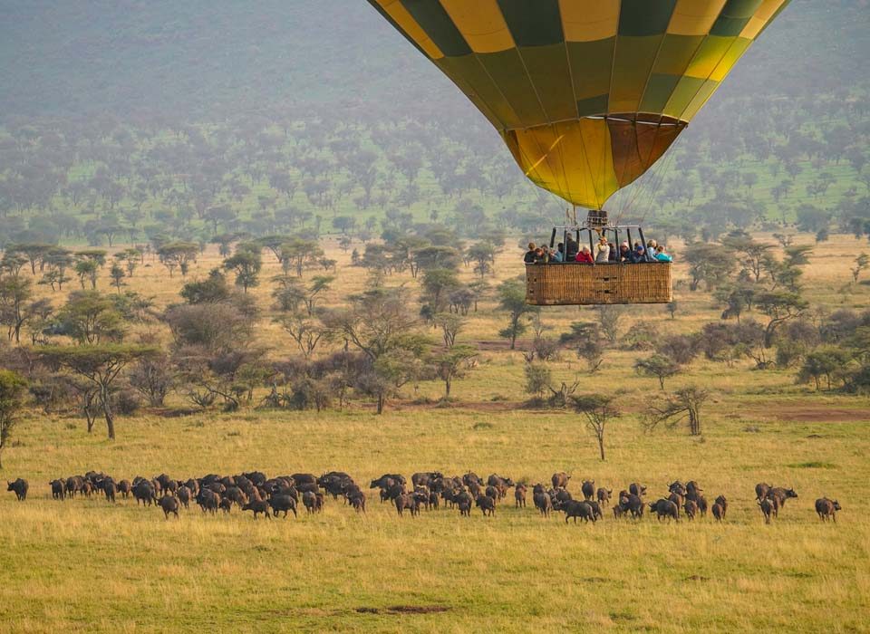 Serengeti Intimate Safari Adventures