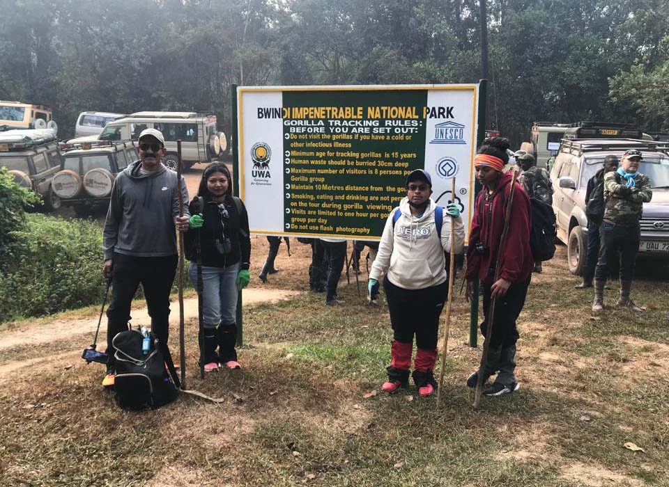 Small Group Tours to Bwindi Impenetrable National Park