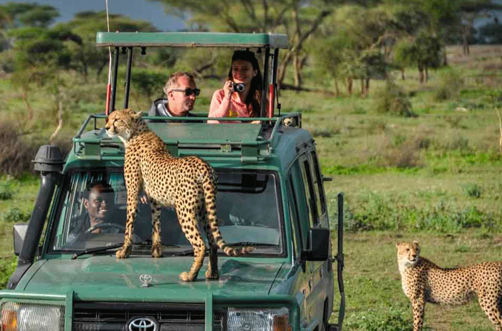 Tour company in Uganda Rwanda