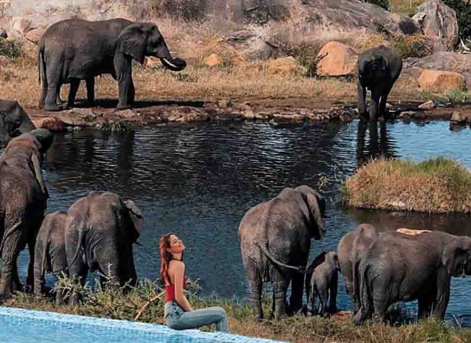 4 Days Masai Mara and Lake Elementaita