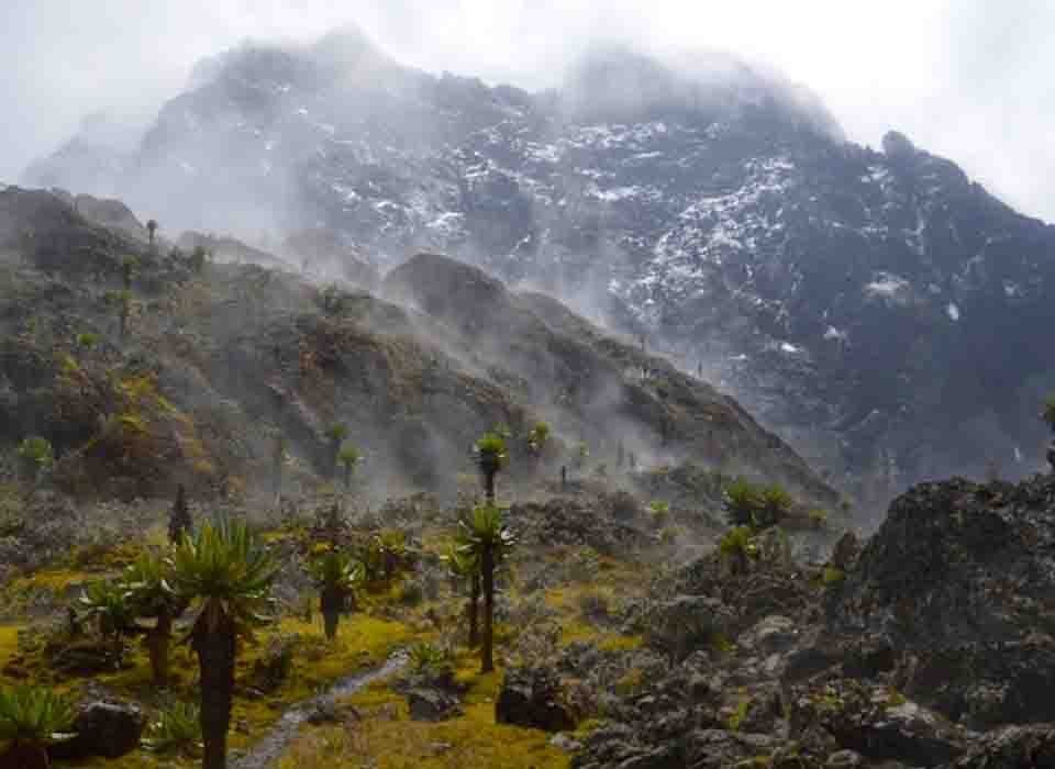 4 Days Mount Rwenzori National Park Safari
