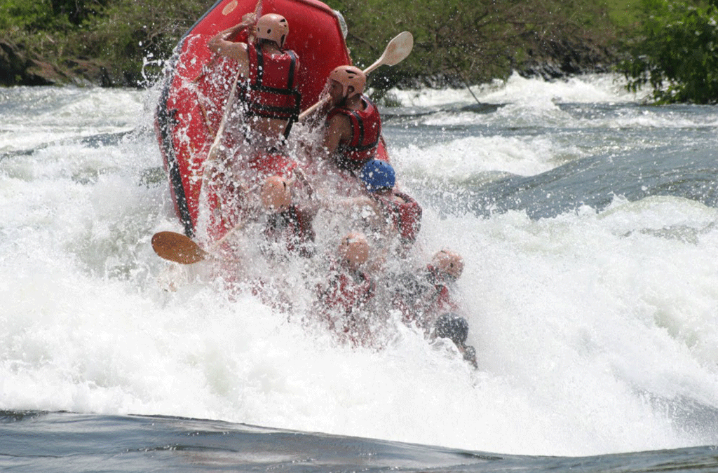10-Day Uganda Gorilla Trekking & Rafting Safari 2 Gorilla Trekking and Rafting Safari