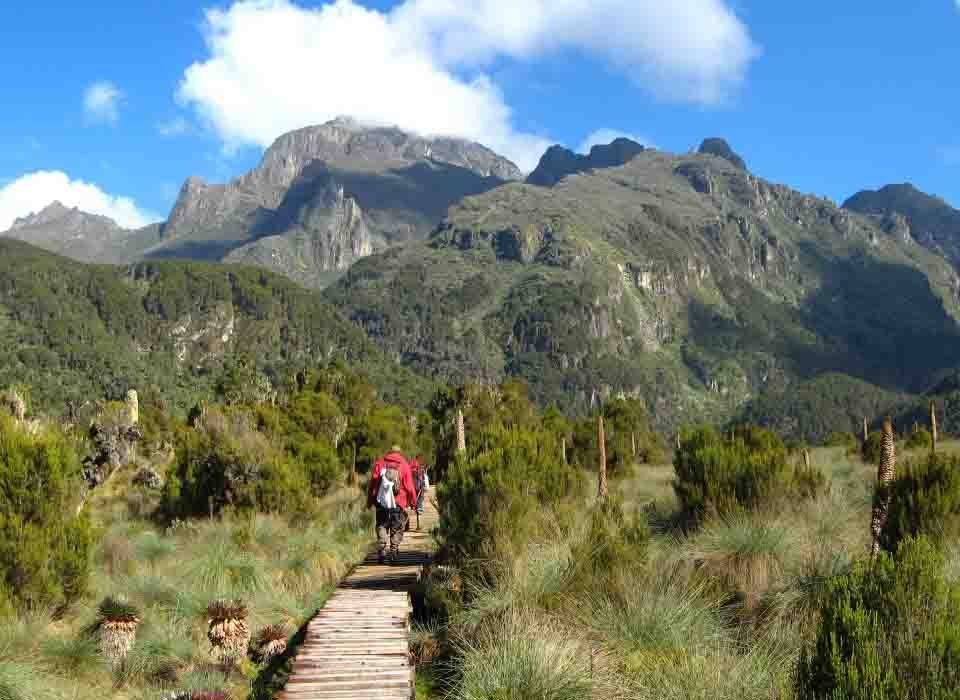 Rwenzori Mountains National Park