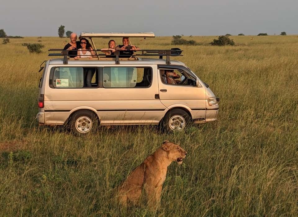 Tips For Planning a Safari to Kenya