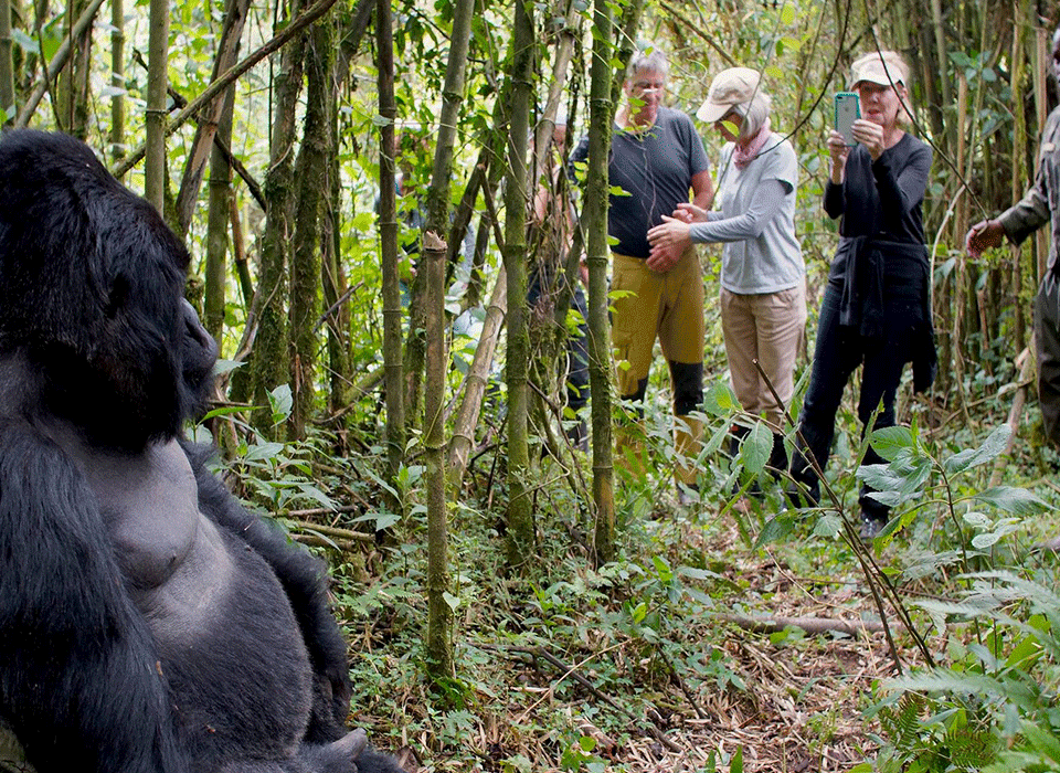 Activities to do in Mgahinga National Park