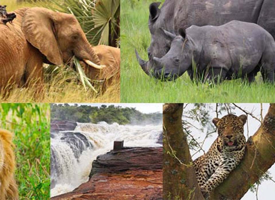 10 Days Uganda Safari