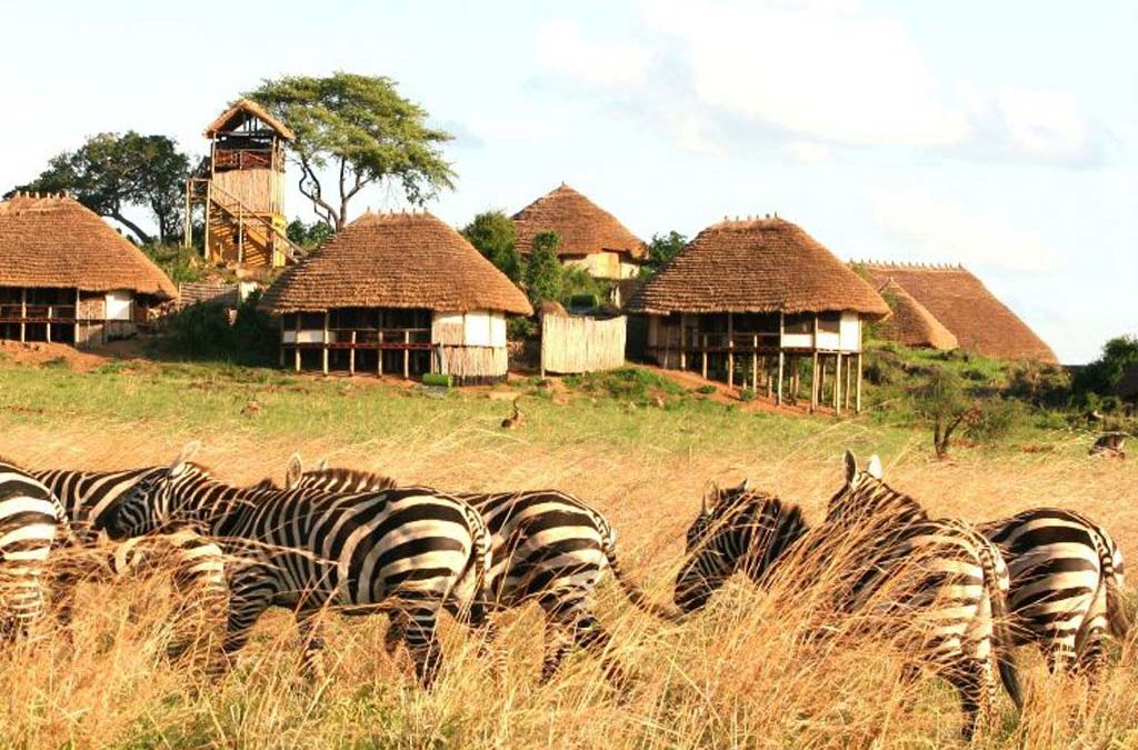 3 Days Kidepo Wildlife Safari 2 10 Days Karamojong Cultural Tour and Wildlife Safari