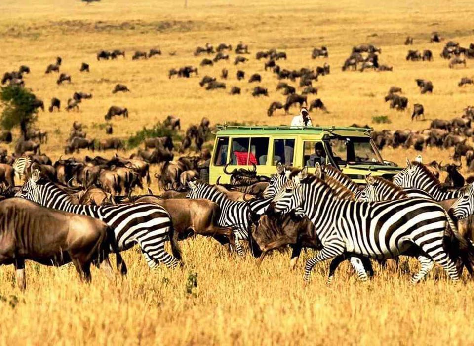 9-Day Kenya Game Safari