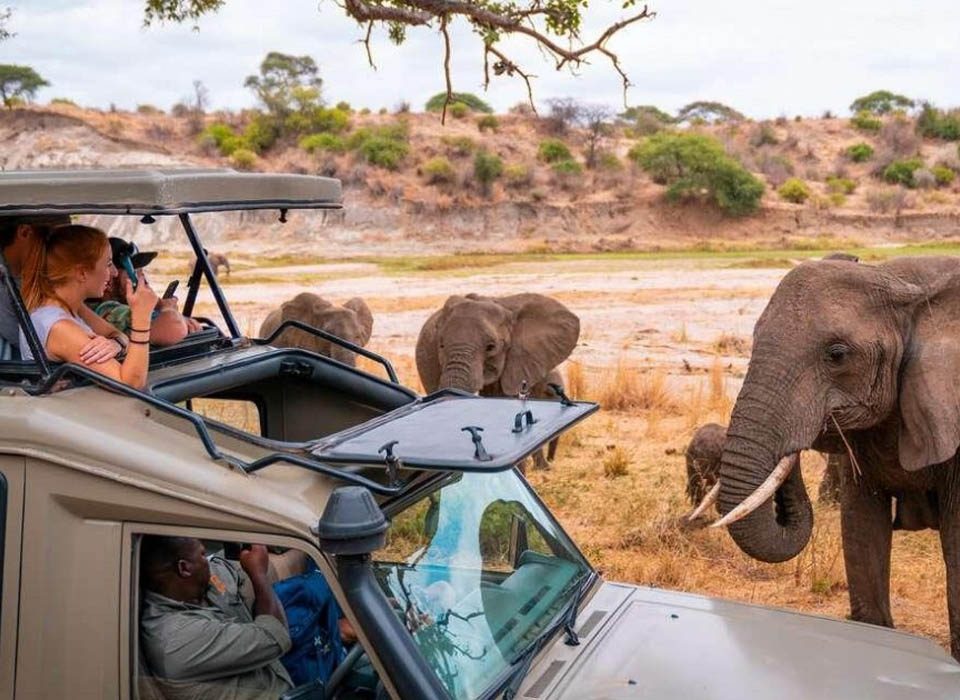 9-Day Kenya Safari Adventure