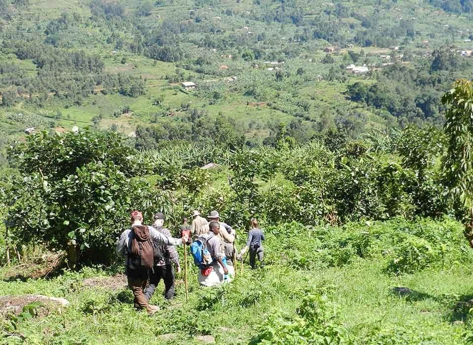 Booking Uganda tours through Rwandan tour companies